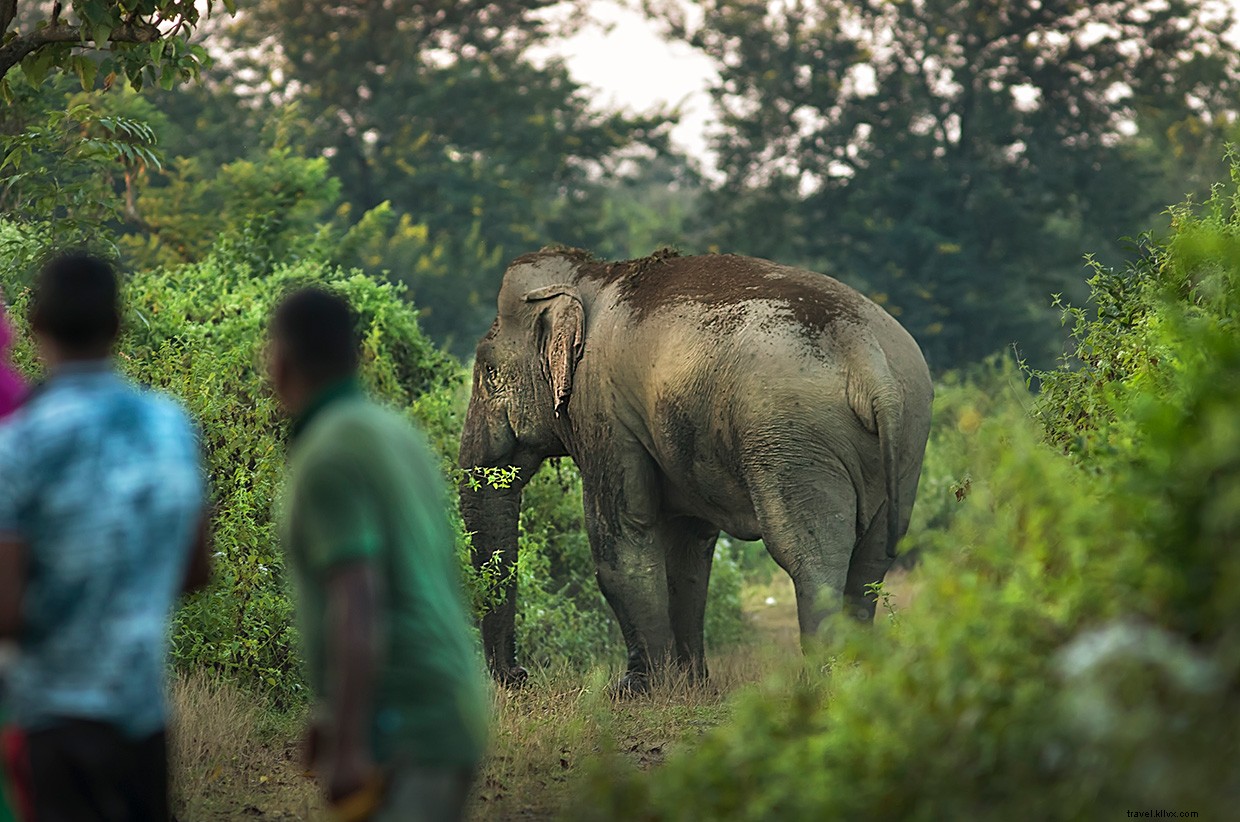 Echoes of Conflict: Midnight Tensions on the India‑Ne

p Border