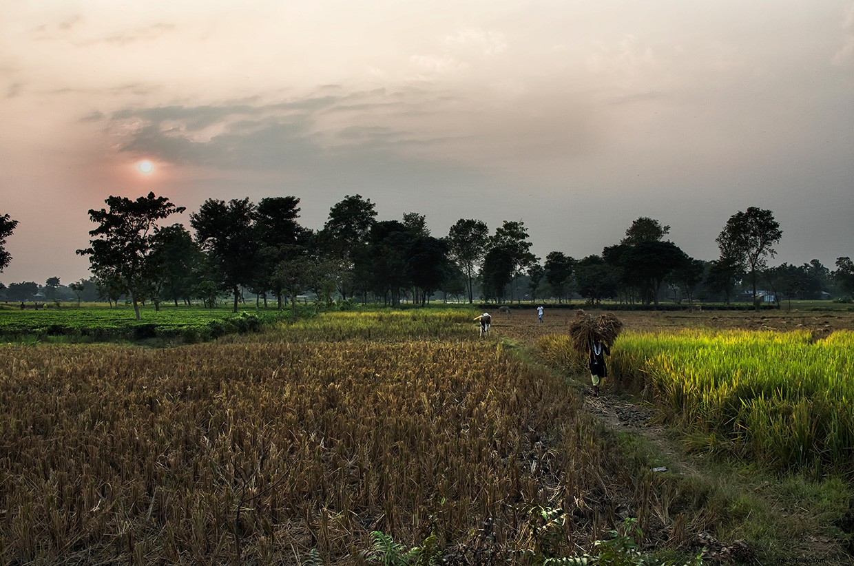 Echoes of Conflict: Midnight Tensions on the India‑Ne

p Border