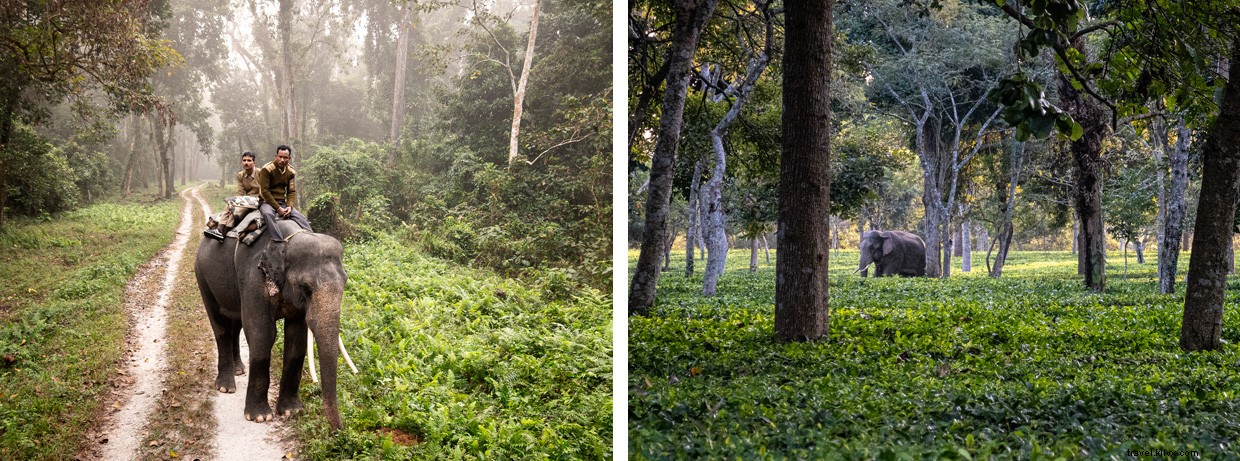 Echoes of Conflict: Midnight Tensions on the India‑Ne

p Border