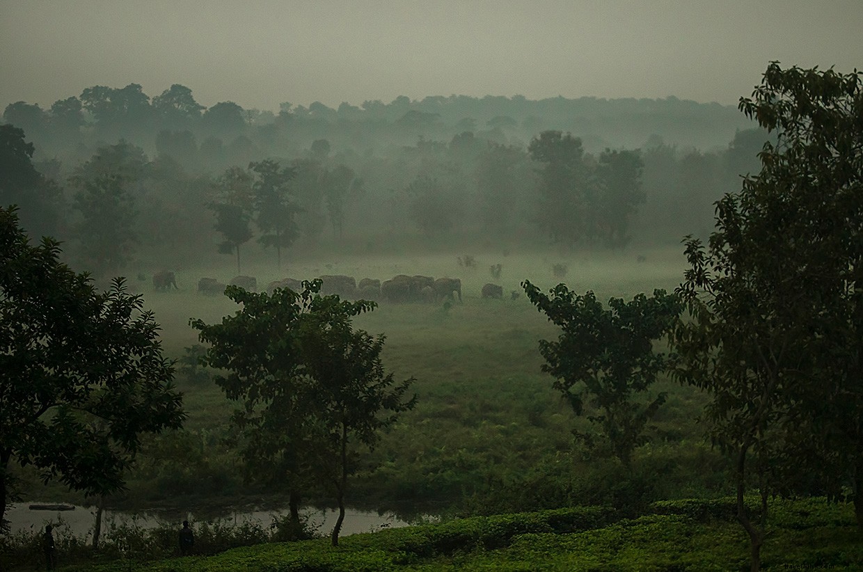 Echoes of Conflict: Midnight Tensions on the India‑Ne

p Border