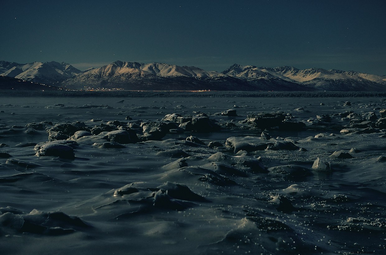 Seeing Double: Anchorage s Frozen Salmon and City Secrets