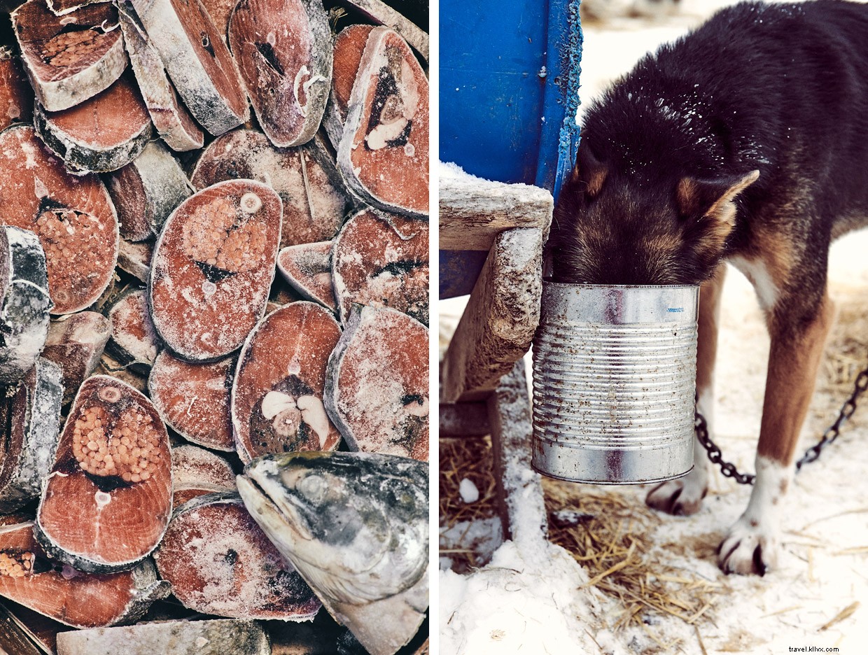 Seeing Double: Anchorage s Frozen Salmon and City Secrets