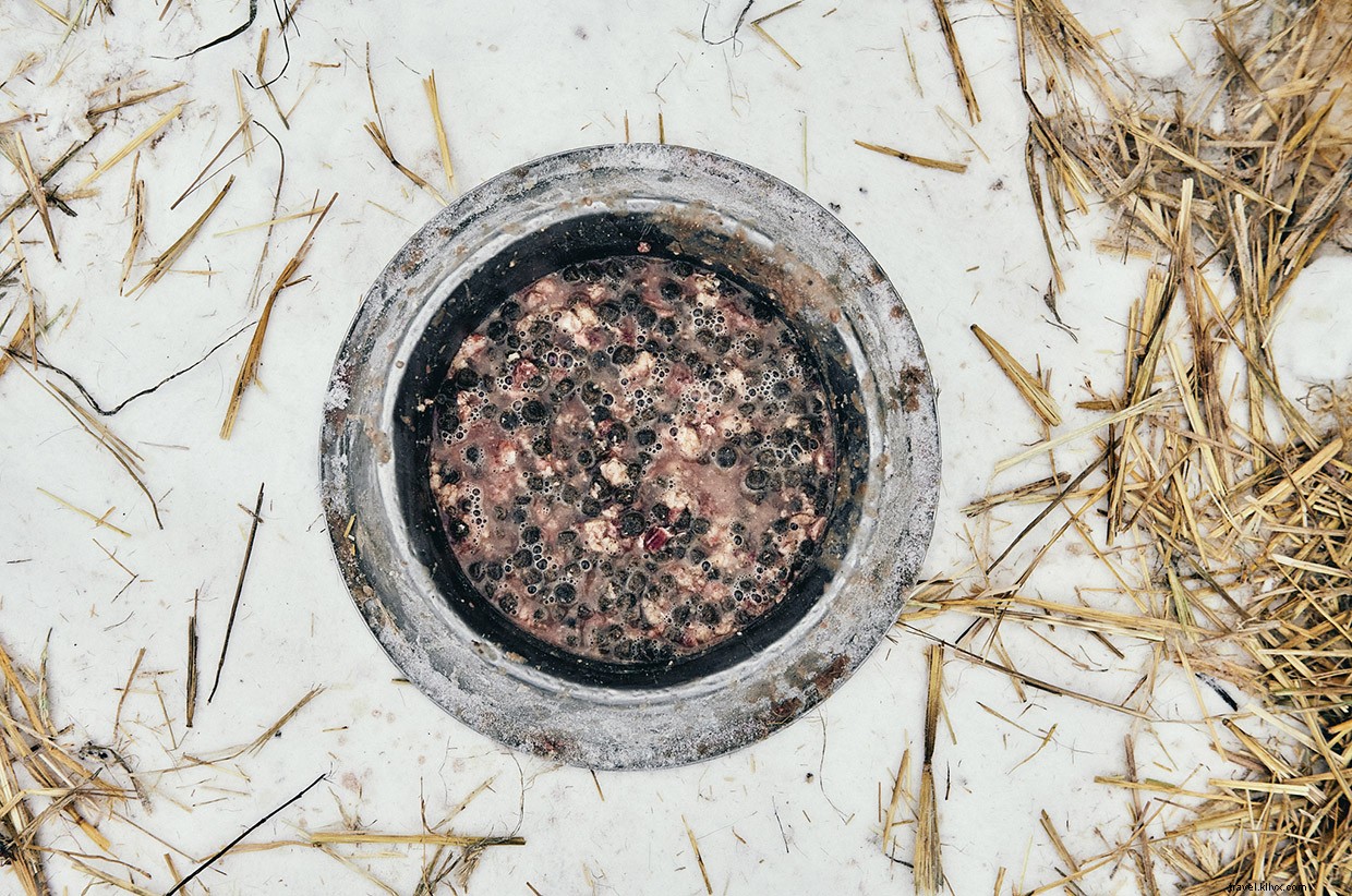 Seeing Double: Anchorage s Frozen Salmon and City Secrets