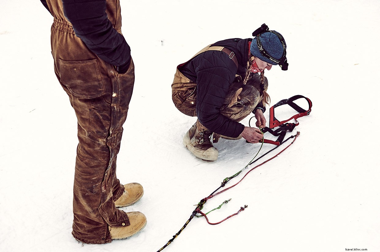 Seeing Double: Anchorage s Frozen Salmon and City Secrets