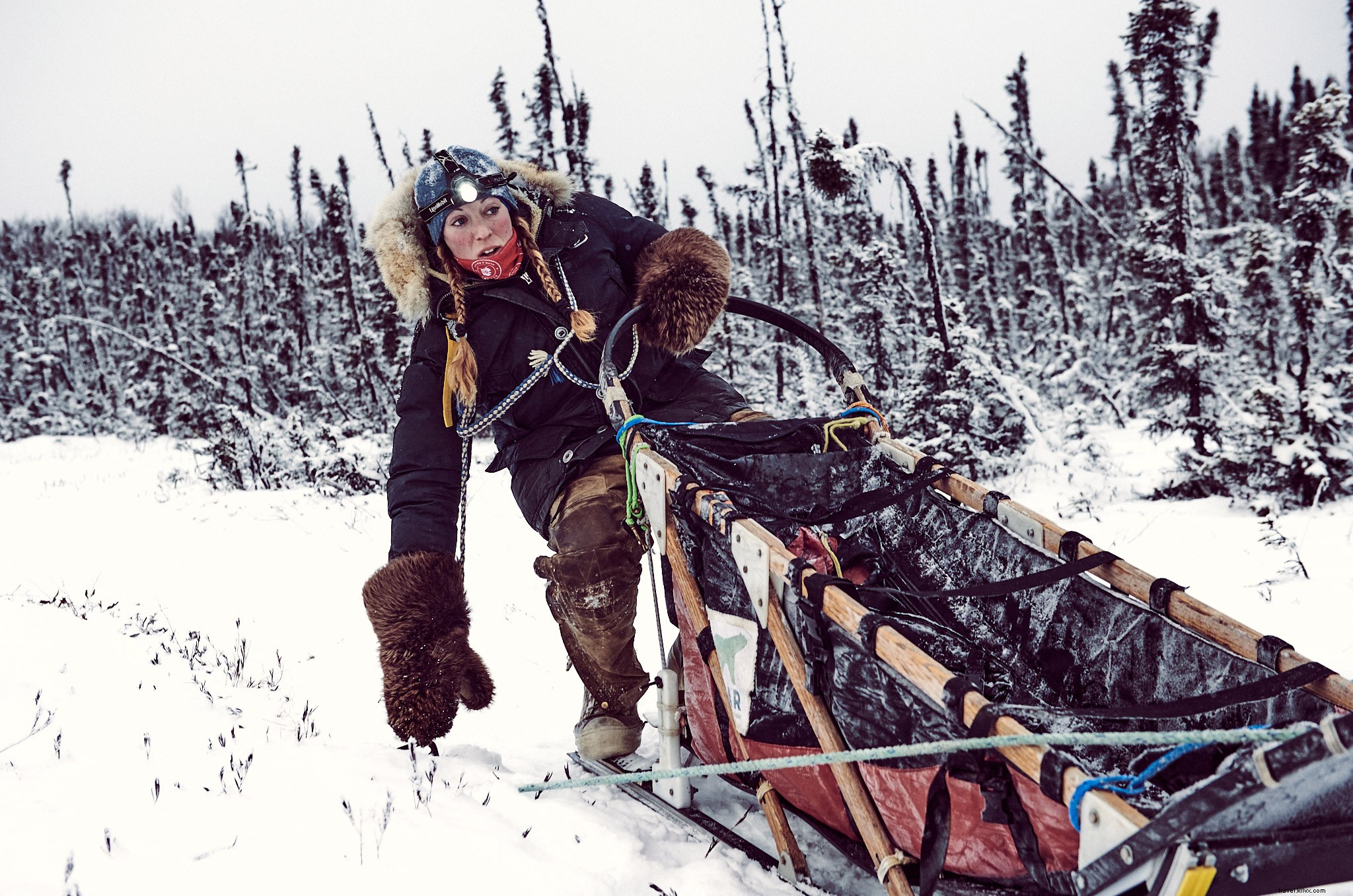 Seeing Double: Anchorage s Frozen Salmon and City Secrets