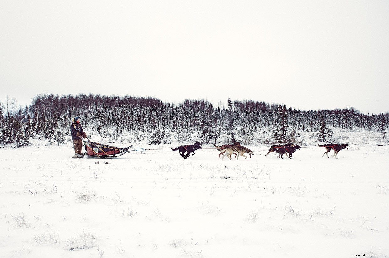 Seeing Double: Anchorage s Frozen Salmon and City Secrets