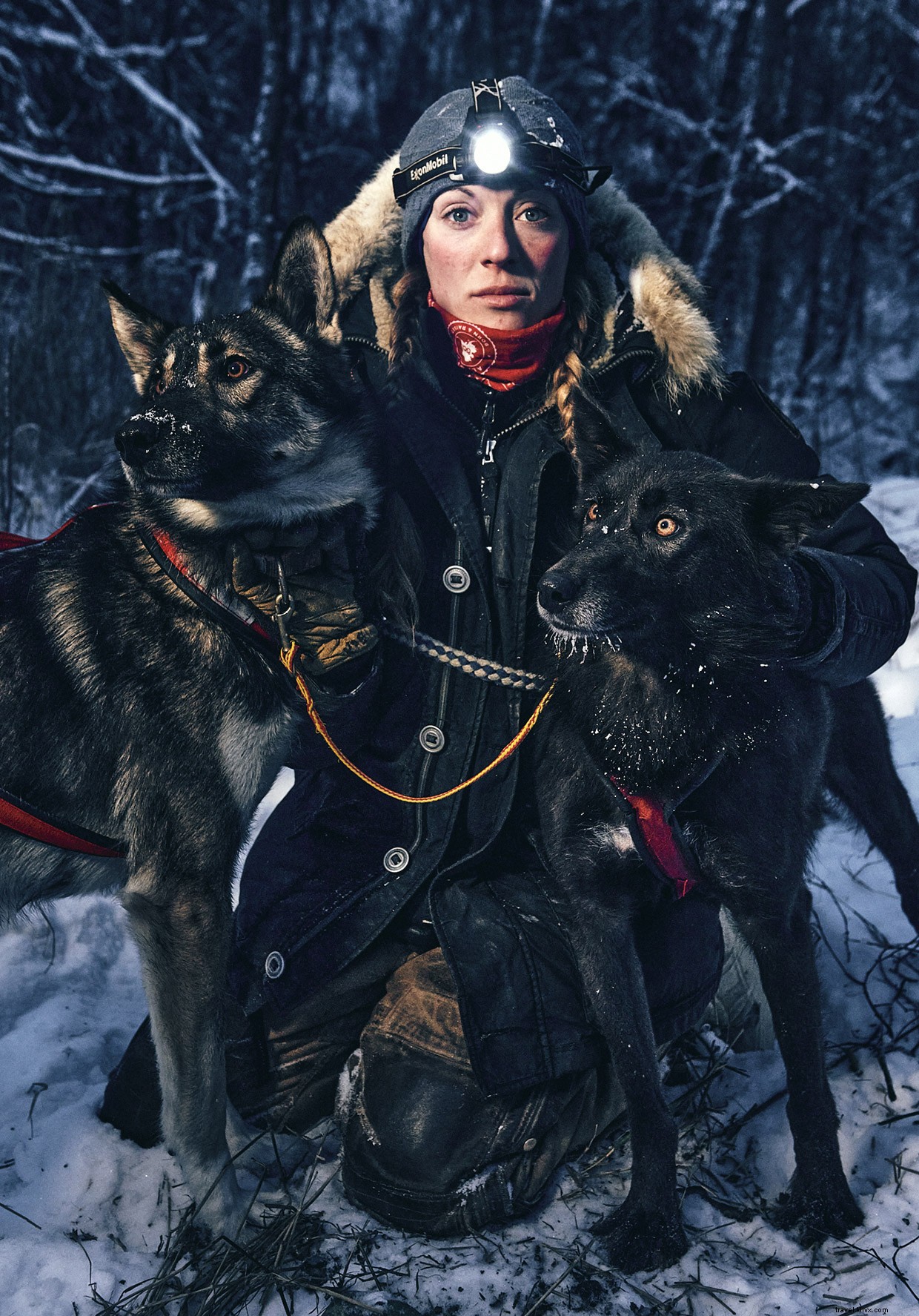 Seeing Double: Anchorage s Frozen Salmon and City Secrets