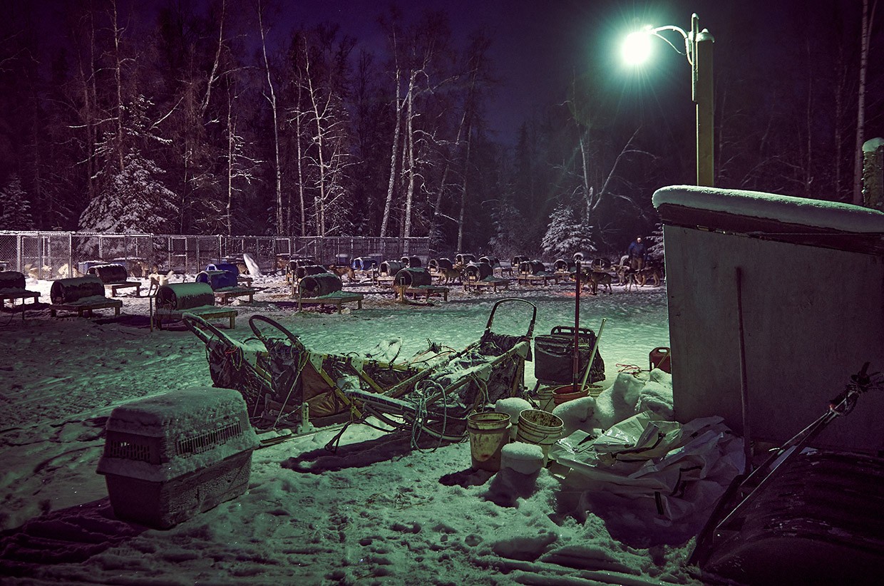 Seeing Double: Anchorage s Frozen Salmon and City Secrets