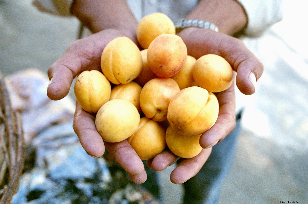 Navigating the Karakoram Highway: A Cyclist’s Journey Through China’s Border