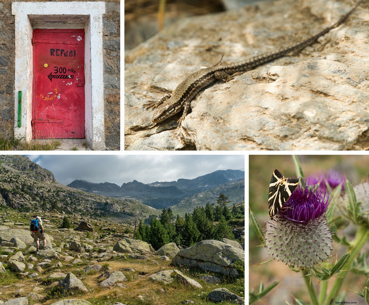 The True Essence of Adventure: Why We Pursue It