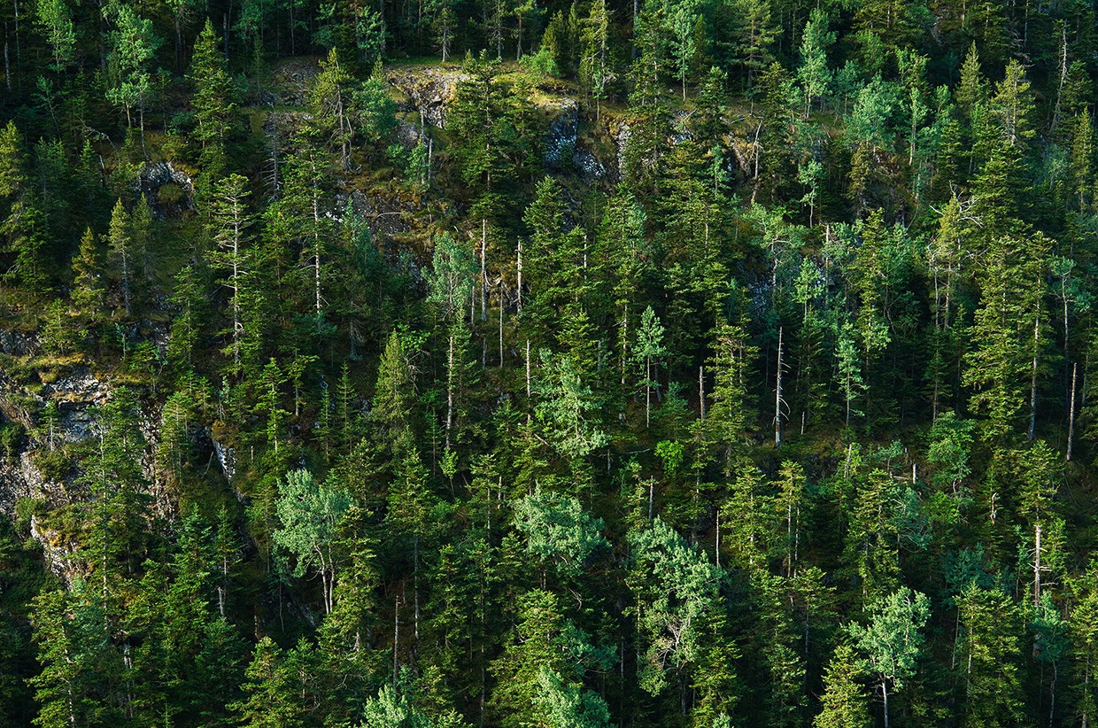 The True Essence of Adventure: Why We Pursue It