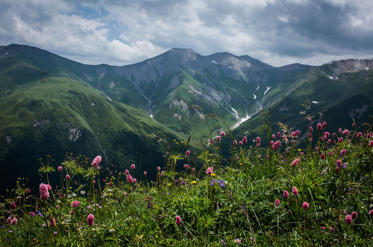 My Grandmother s Table: A Journey of Family, Food, and Tradition