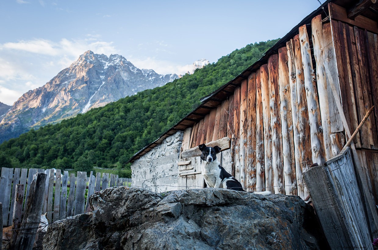 My Grandmother s Table: A Journey of Family, Food, and Tradition