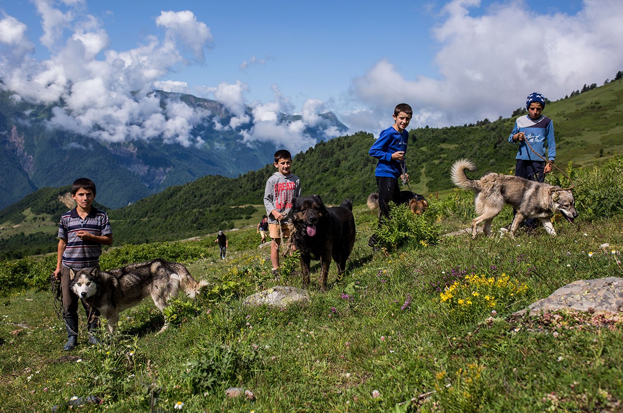 My Grandmother s Table: A Journey of Family, Food, and Tradition