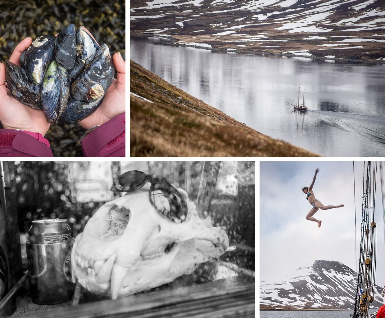 Navigating Uncertainty: A Sailor s Dawn Challenge