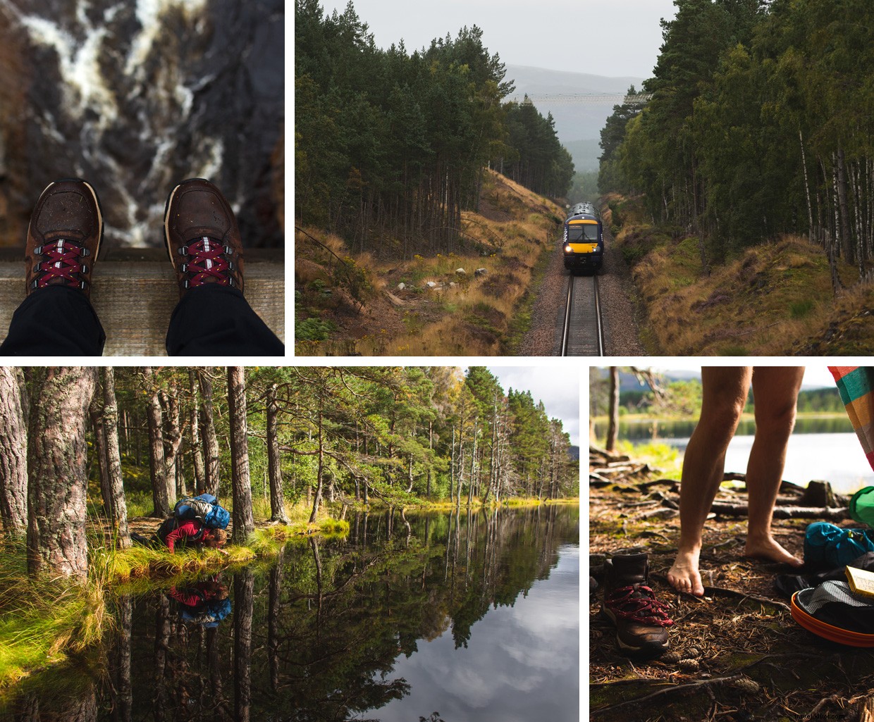 Scotland’s Highland Escape: A Journey Through the Cairngorms