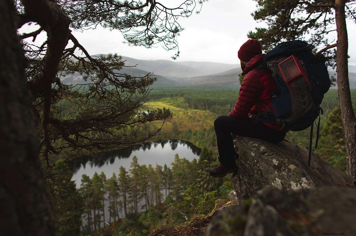 Scotland’s Highland Escape: A Journey Through the Cairngorms