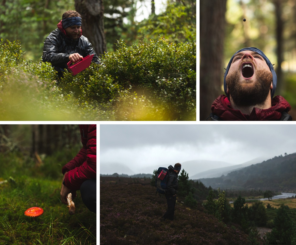 Scotland’s Highland Escape: A Journey Through the Cairngorms
