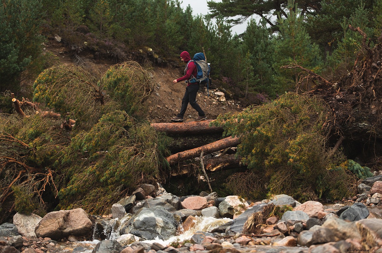 Scotland’s Highland Escape: A Journey Through the Cairngorms