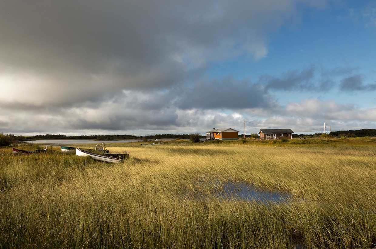 Bloodvein: An Immersive Indigenous Drum Ceremony