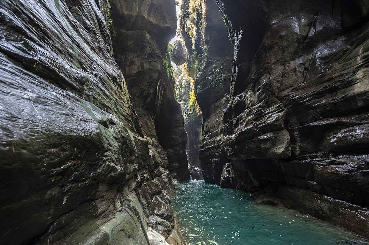 Akira s Struggle Against a Turbulent Whirlpool