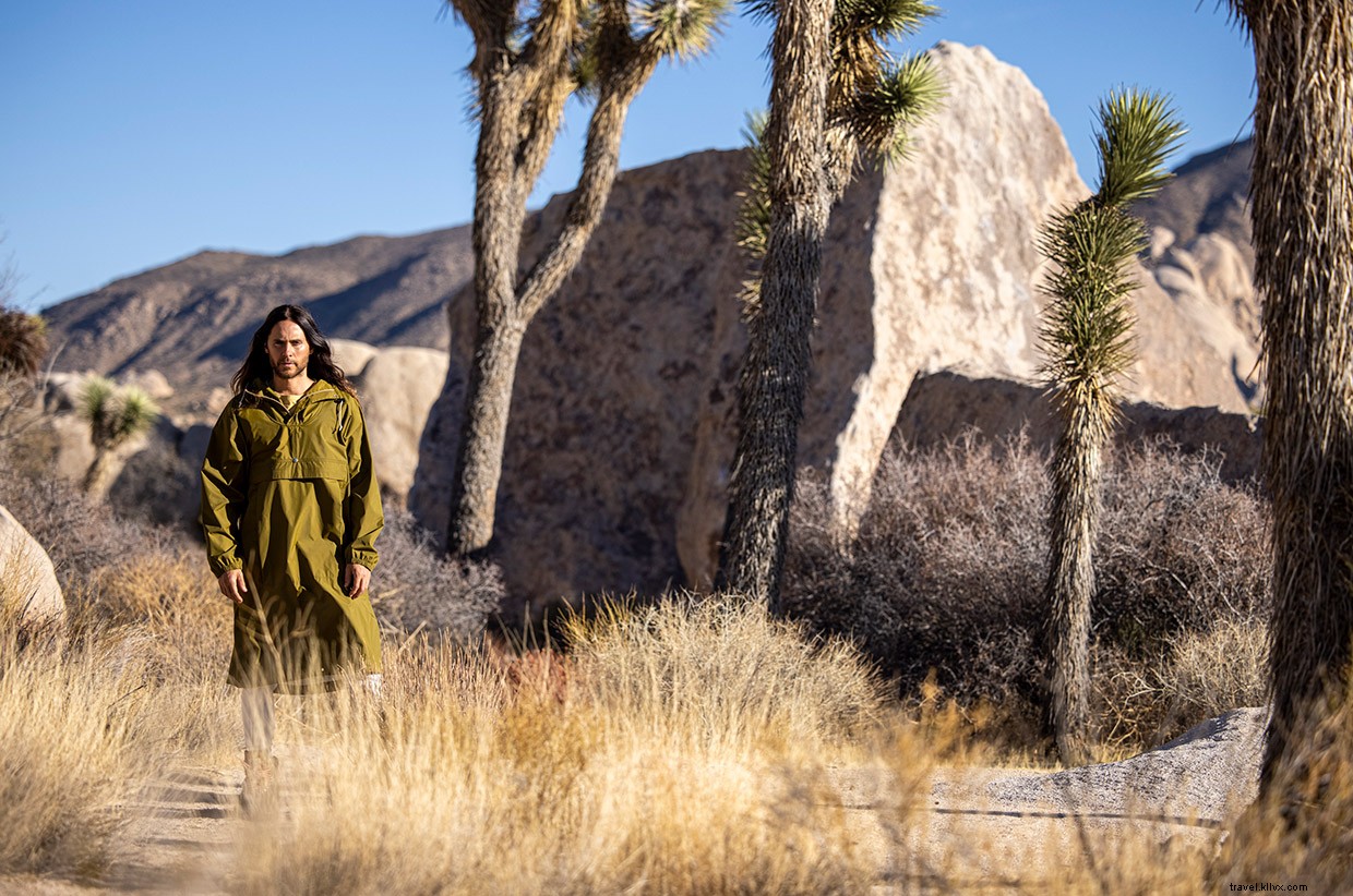 Mastering the Yucca Man: A Precision Climb to the Summit