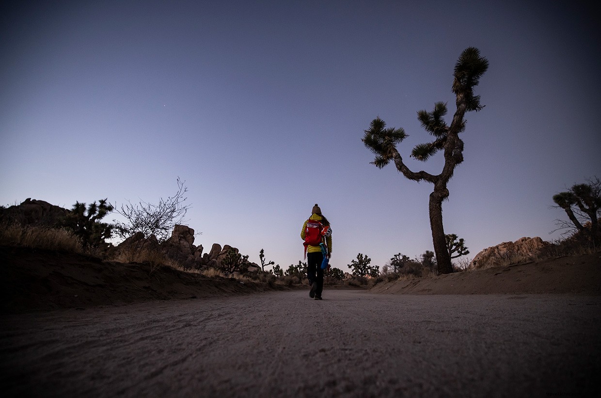 Mastering the Yucca Man: A Precision Climb to the Summit