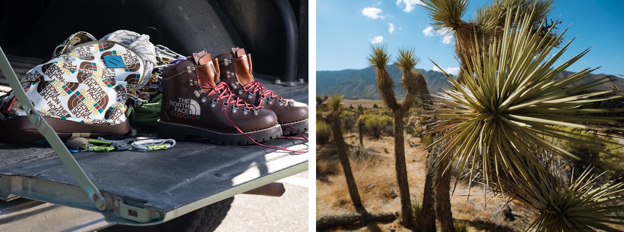 Beyond Peaks: Jimmy Chin’s Iconic Climbing Legacy