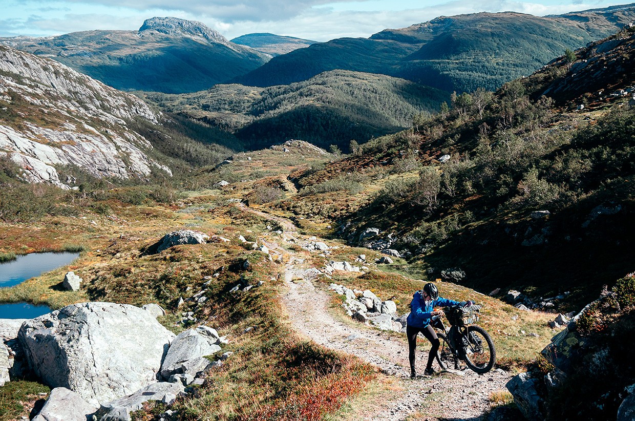 Surviving Unexpected Wildlife: A Cautionary Camp Story