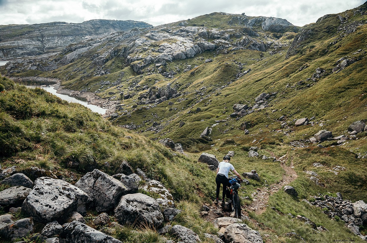 Surviving Unexpected Wildlife: A Cautionary Camp Story