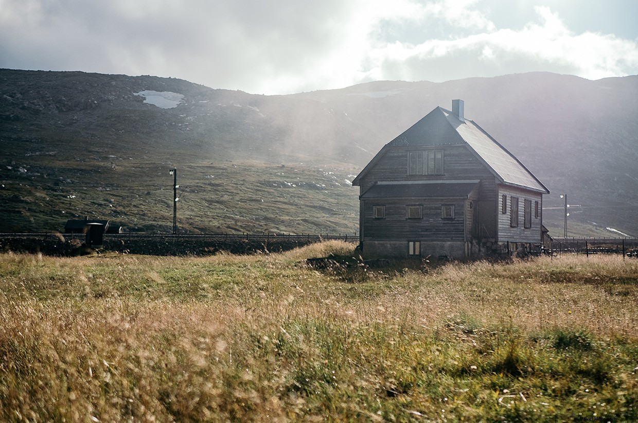 Surviving Unexpected Wildlife: A Cautionary Camp Story