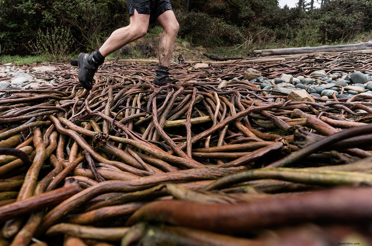 Surviving the Wild: A Real-World Sailing Adventure