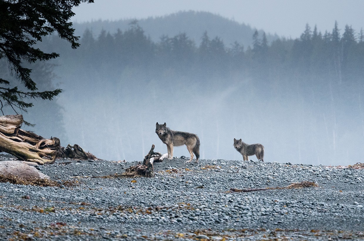 Surviving the Wild: A Real-World Sailing Adventure