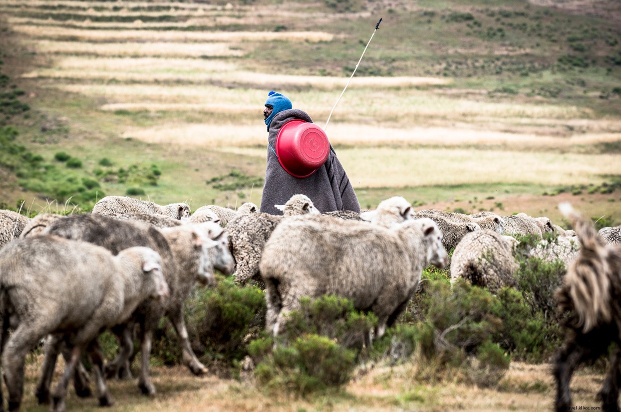 Finding Solitude: A Culinary Journey in Lesotho
