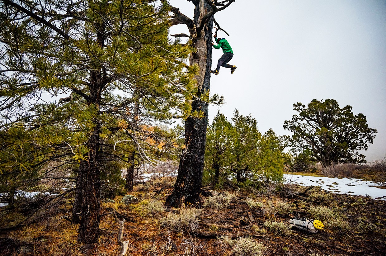 Discover Zion’s Hidden Ice Wall: A Surprising Climb