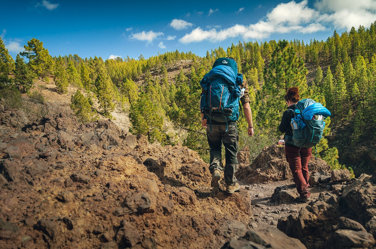 Landing Above Tenerife s Iconic Mount Teide