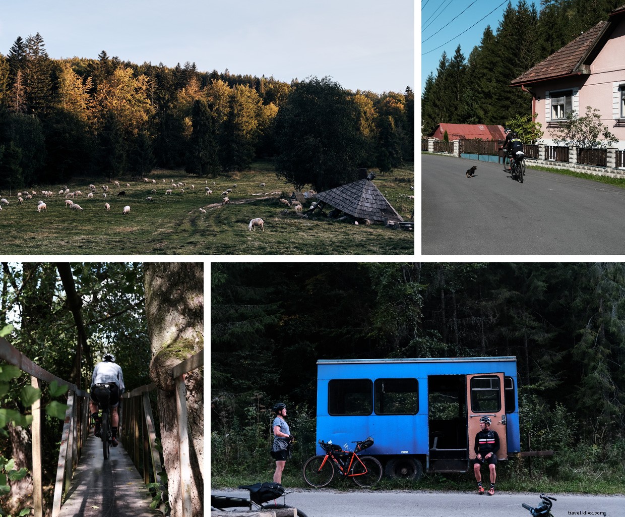 Cyclists  Reunion: Shared Meals & Memories