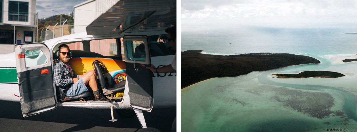 Exploring the Southern Rock Lobster: A Marine Biologist’s Field Adventure