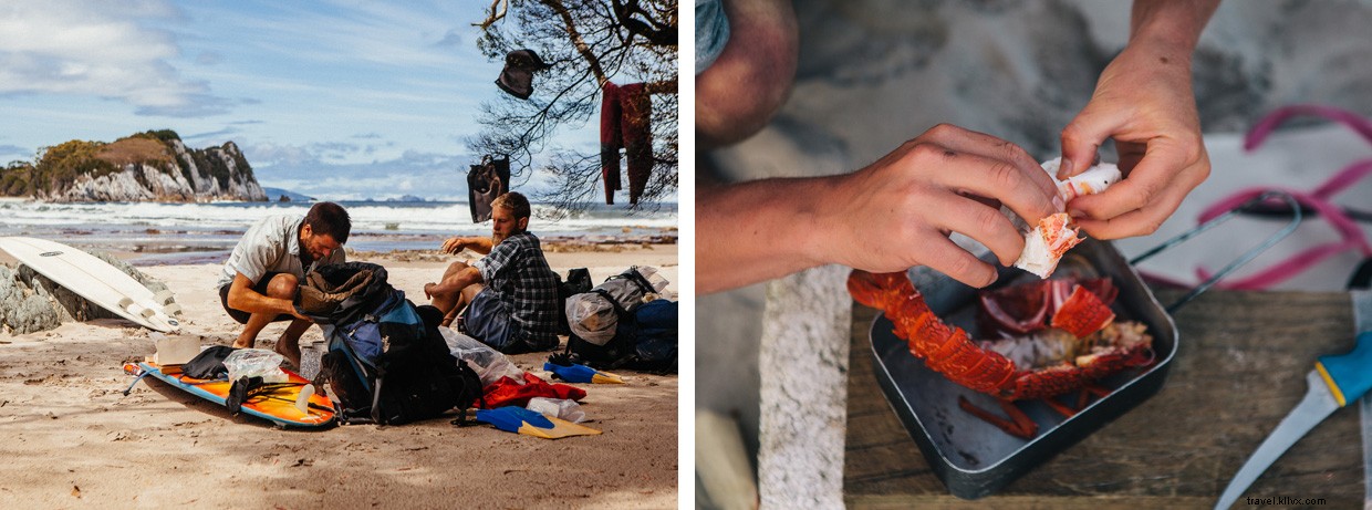 Exploring the Southern Rock Lobster: A Marine Biologist’s Field Adventure