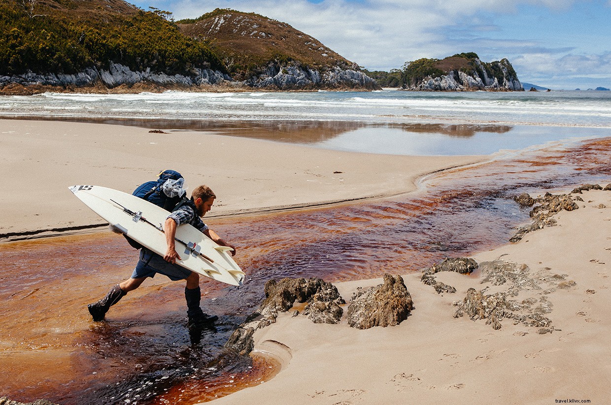 Exploring the Southern Rock Lobster: A Marine Biologist’s Field Adventure