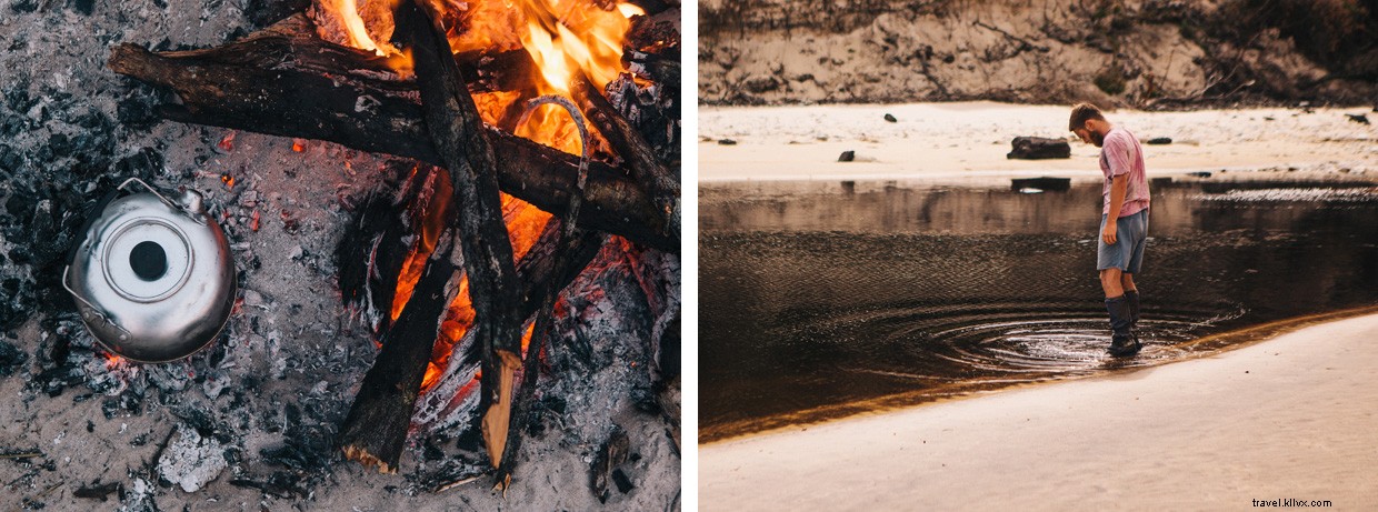 Exploring the Southern Rock Lobster: A Marine Biologist’s Field Adventure