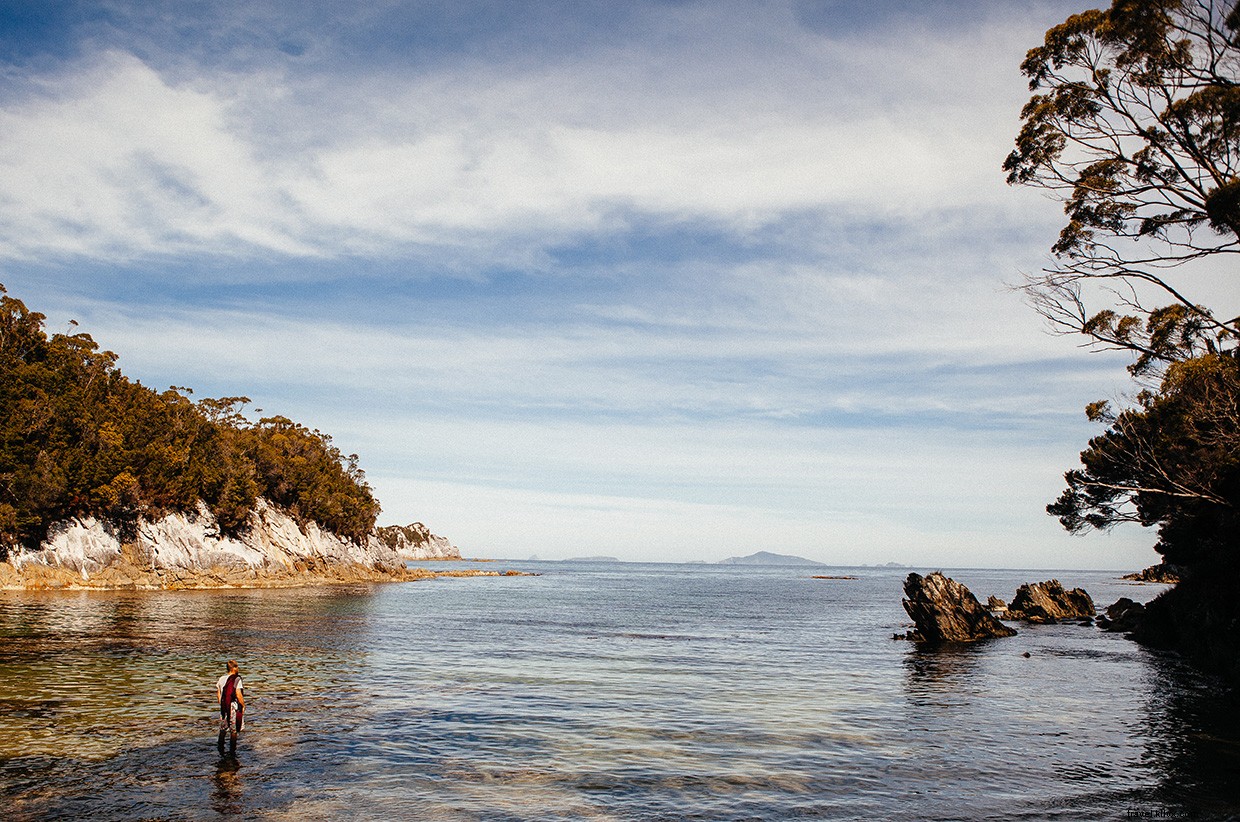 Exploring the Southern Rock Lobster: A Marine Biologist’s Field Adventure
