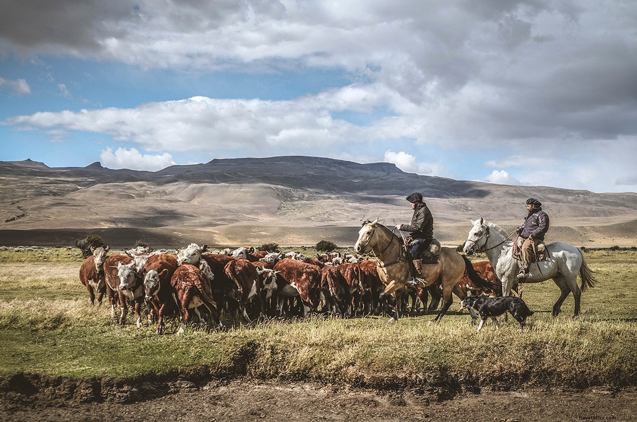 Southward Journey: Crossing Patagonia s Estepa with Dogs and Horses
