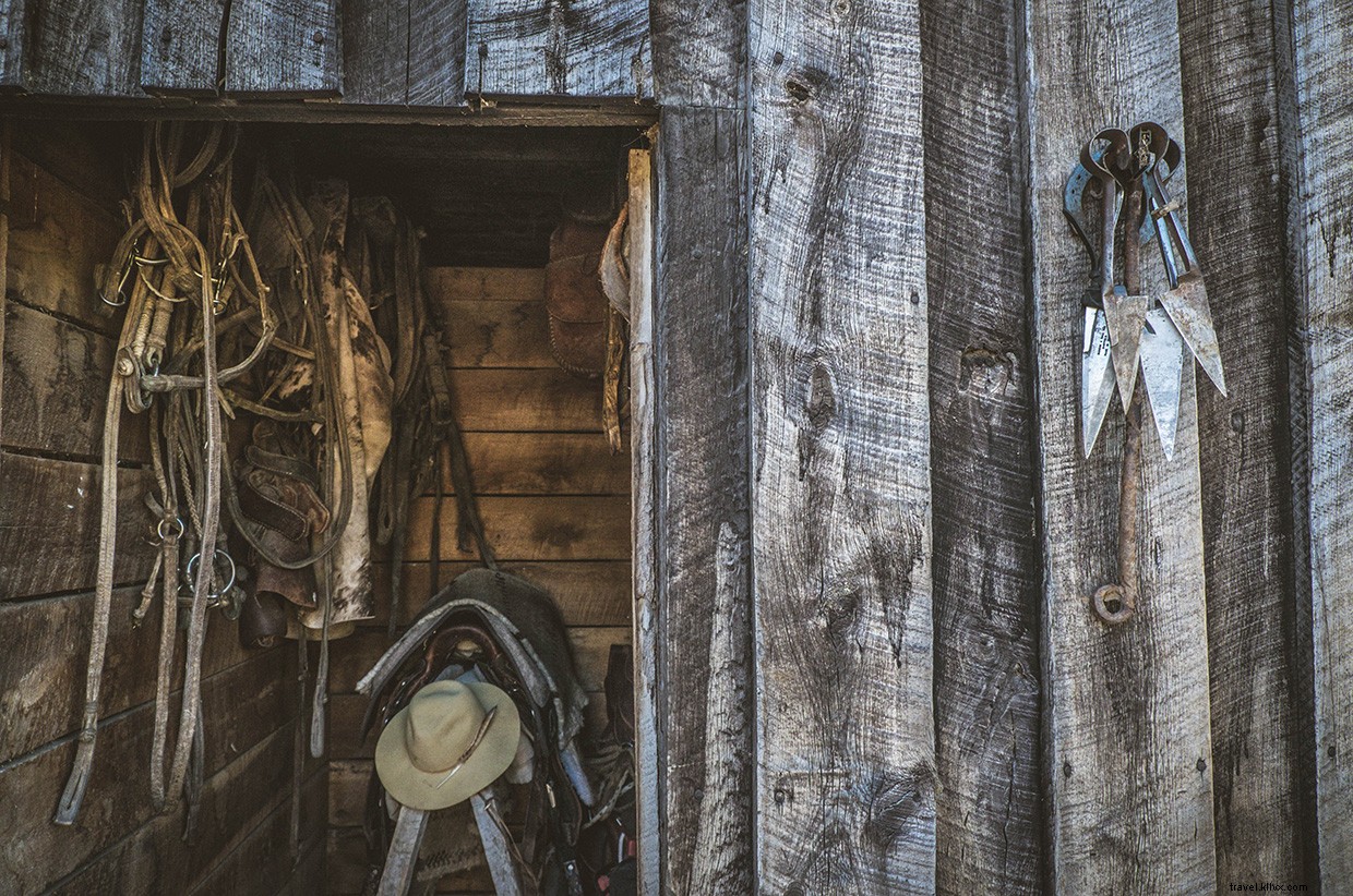 Southward Journey: Crossing Patagonia s Estepa with Dogs and Horses