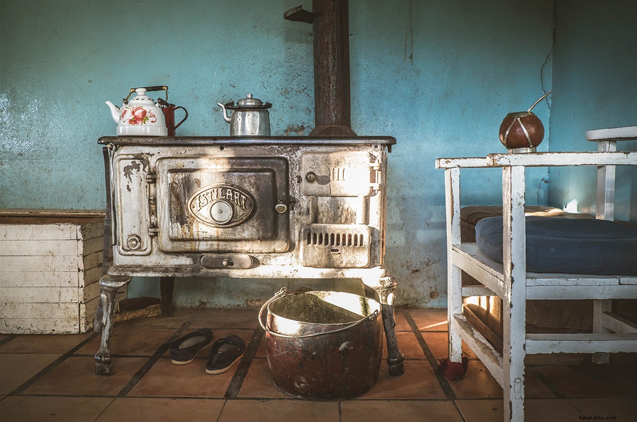 Southward Journey: Crossing Patagonia s Estepa with Dogs and Horses