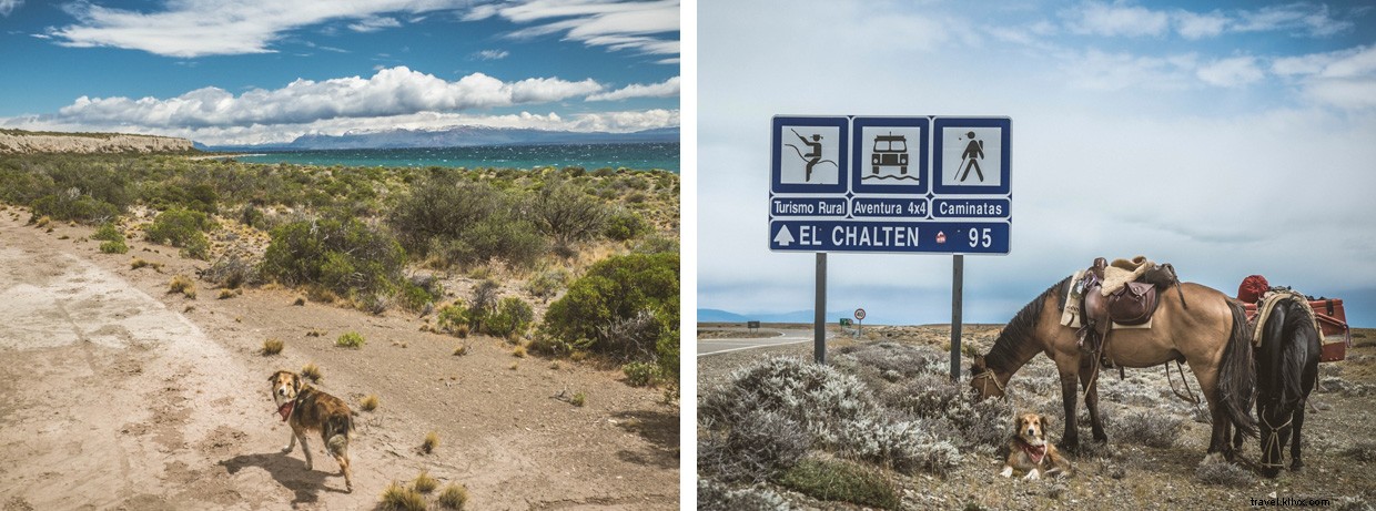 Southward Journey: Crossing Patagonia s Estepa with Dogs and Horses
