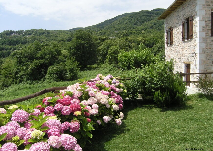 Explore Five Charming Guesthouses for Authentic Farm Holidays