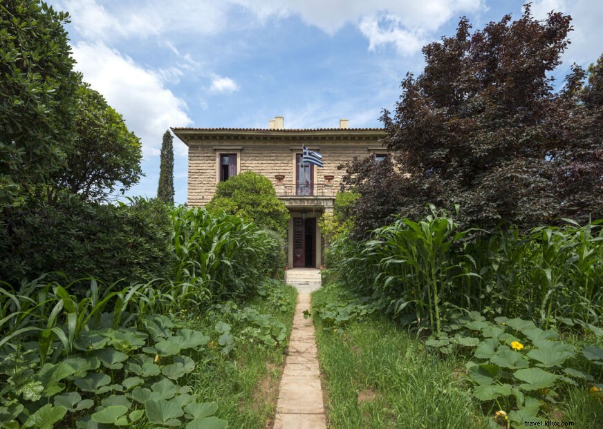 Explore Athens  Hill of the Nymphs: A Summer Urban Jungle Experience