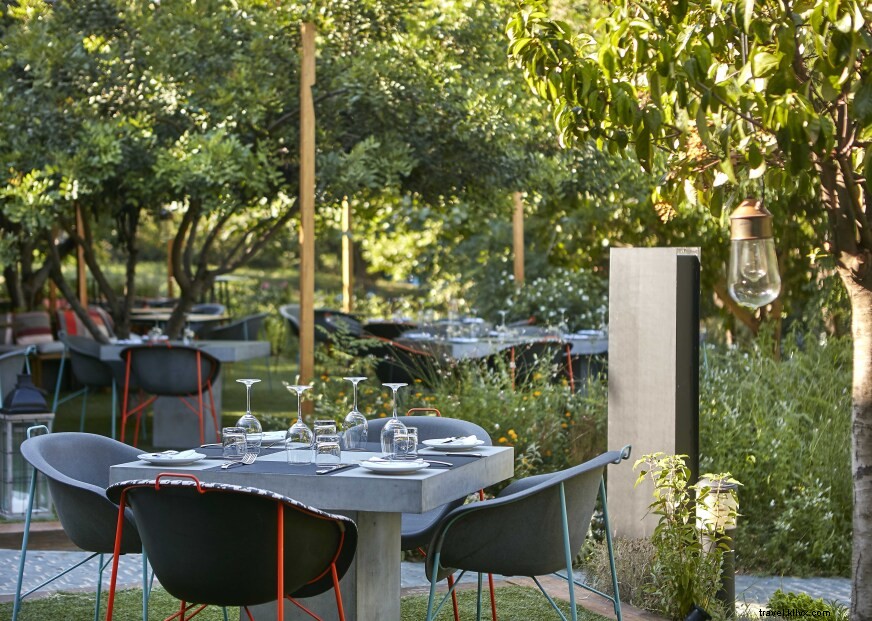 The Garden of the Athens Concert Hall – Athens  Premier Urban Oasis