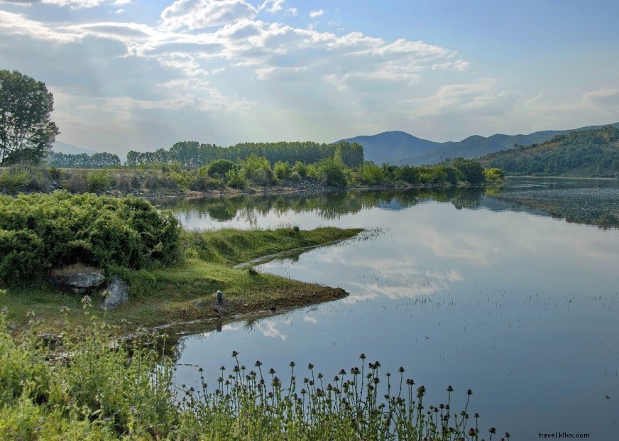 Explore Lake Kerkini: Greece s Premier Wetland for Birdwatching & Nature Lovers